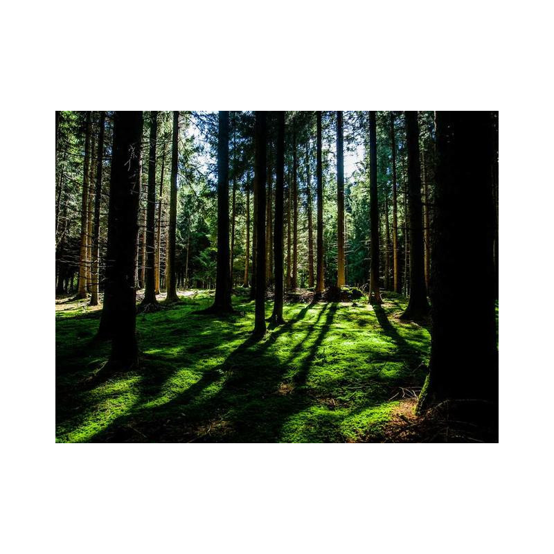 Intelligent Marble Gloves fr-FR